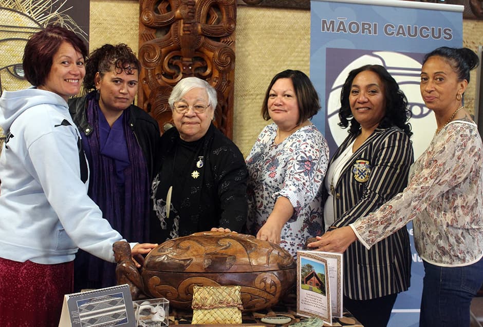 20 Years of Service to Māori Nursing